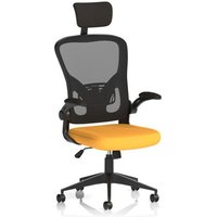 Click to view product details and reviews for Ace Executive Mesh Chair With Folding Arms Bespoke Colour Seat Senna Yellow. Click to view product details and reviews for Ace Executive Mesh Chair With Folding Arms Bespoke Colour Seat Senna Yellow.