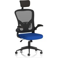 Click to view product details and reviews for Ace Executive Mesh Chair With Folding Arms Bespoke Colour Seat Stevia Blue. Click to view product details and reviews for Ace Executive Mesh Chair With Folding Arms Bespoke Colour Seat Stevia Blue.