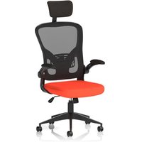 Click to view product details and reviews for Ace Executive Mesh Chair With Folding Arms Bespoke Colour Seat Tabasco Orange. Click to view product details and reviews for Ace Executive Mesh Chair With Folding Arms Bespoke Colour Seat Tabasco Orange.