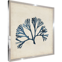 Tableau WAG Under algue E 40 x 40 cm