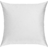 Oreiller ferme 50% duvet de canard et enveloppe coton percale Cléo