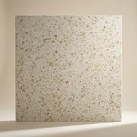 Fliese Rimini | 60 x 60 cm