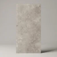 Azulejo Suelo/Pared Rotterdam Gris Mate con detalles en brillo 60 x 120 cm | Apto para interiores/exteriores