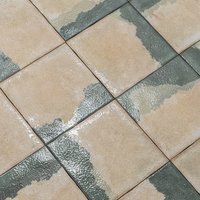 Azulejo Suelo/Pared Volterra Decor Beige Mate con detalles en brillo 20 x 20 cm | Apto para interiores/exteriores