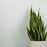 Fliese Jungle Himmelblau | 10x30 cm