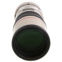 Canon 300mm f/4 L IS USM EF-Mount Lens