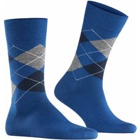 Chaussettes pour hommes – Bleues – Pointures 40 à 46