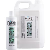 Groom Professional Fresh Peppermint Purify Shampoo