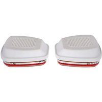 3M 6096 AE1HgP3 R Combination Gas Filters (Pack of Two)