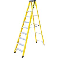 TB Davies 10 Tread INSUL8-S Fibreglass Professional Swingback Step Ladder