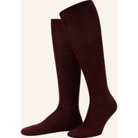 8596 BAROLO