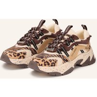 Steve Madden Sneaker Animates braun