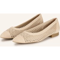 paul green Ballerinas