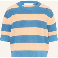 Lacoste Strickshirt blau