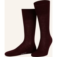 8596 BAROLO