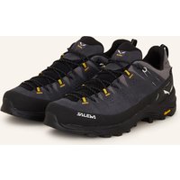 Salewa Salewa Wanderschuhe Alp Trainer 2 Gtx grau