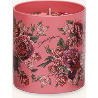 DOLCE & GABBANA CASA Dolce & Gabbana Casa Duftkerze Rosa Muschiata rosa