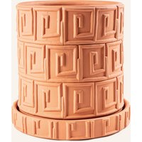 Seletti Seletti Blumentopf Magna Graecia Greca braun