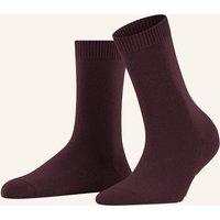 8596 BAROLO