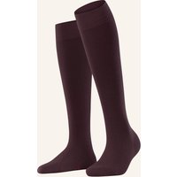 8596 BAROLO