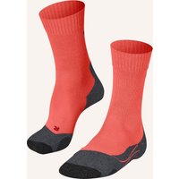 8017 coral