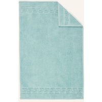 weseta switzerland Weseta Switzerland Gästehandtuch Dreamflor gruen