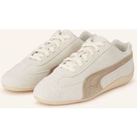 CREME / TAUPE