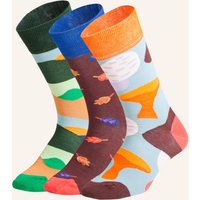 DillySocks Dillysocks Socken Fall Wonders (3er Box) rot