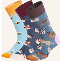 DillySocks Dillysocks Socken Cute Animal Crew (3er Box) grau