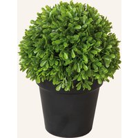 Fink Fink Kunstblume Buchskugel gruen