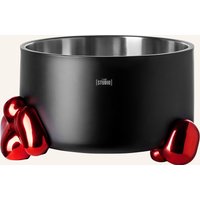 Fink Studio Fink Studio Punchbowl Pop Art rot