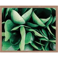 Liv Corday Liv Corday Wandbild Grüne Frische Pflanzen Mit Rahmen braun