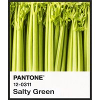 Liv Corday Liv Corday Wandbild Farbe: Salty Green / Selleriegrün Mit Rahmen schwarz