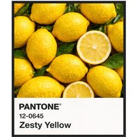 Liv Corday Liv Corday Wandbild Farbe: Zeesty Yellow / Zitronenfrisch Mit Rahmen schwarz
