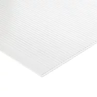 Polycarbonate 10Mm Twinwall 4000 X 980Mm Clear