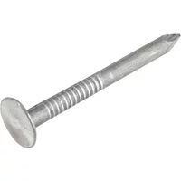 Unifix Aluminium Clout Nails 2.65 X 30Mm 1Kg