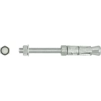 Rawlbolt Anchor Bolt Projectng Version M10 X 135 Mm Box Of 25