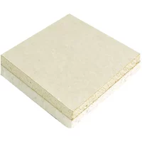 Thermal Board Plasterboard 2400 X 1200 X 50Mm T/E