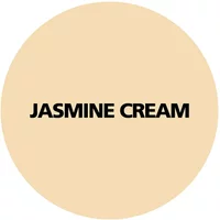 Dunlop Gx-500 Flexible Grout Jasmine Cream 10Kg