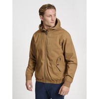 Hooded Harrington Light
