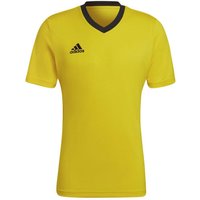 schwarz|gelb