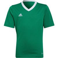 weiß|grün