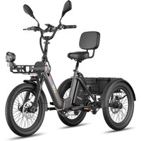 Triciclo elétrico f20 mate ii 48v 21ah travões hidráulicos cestos 180kg