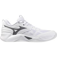 Sapatilhas de salão mizuno wave momentum pro