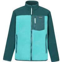blau|grün