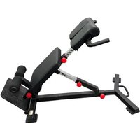 Banco de hiperextensão dobrável sb-1439 - 5 regulações - aço - até 136kg