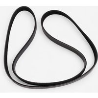 Decathlon UK Domyos Training Bike - Belt | FREE Click & Collect at Stores and Asda. 365 Days return available.