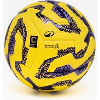 Official Football Serie C Italy 25/26winter Version.