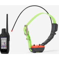 Coleira + telecomando de localização/adestramento cão alpha 300 tt25 (conjunto)