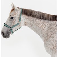 Horse Riding Nubuck Halter - Eucalyptus Green
